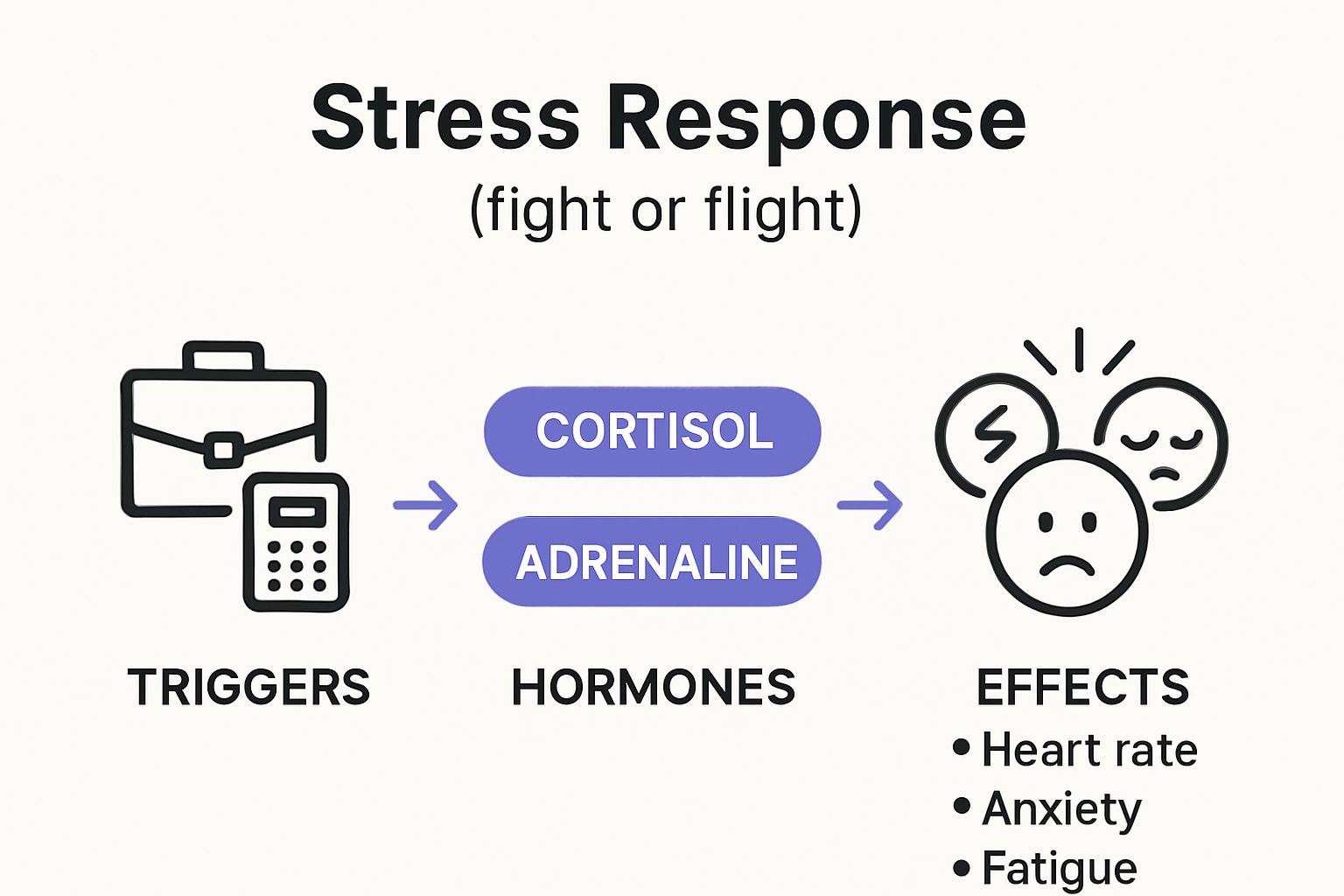Infographic shows stress causes, hormone response, and effects on health