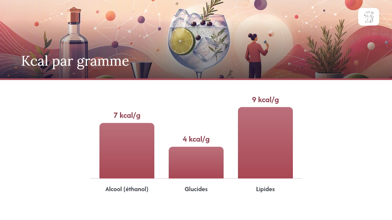 Comparaison des calories par gramme