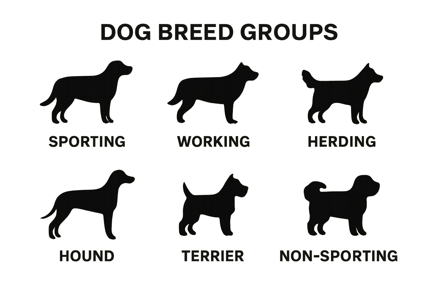 Infographic comparing main types of dog breed groups