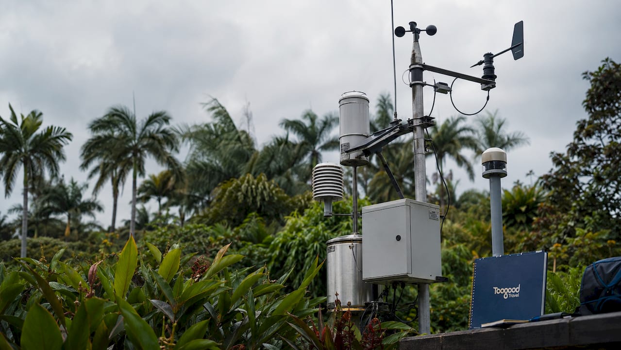 Florida weather station with subtropical plants