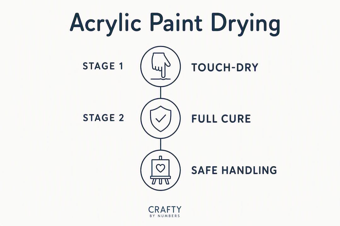 Infographic showing acrylic paint drying stages