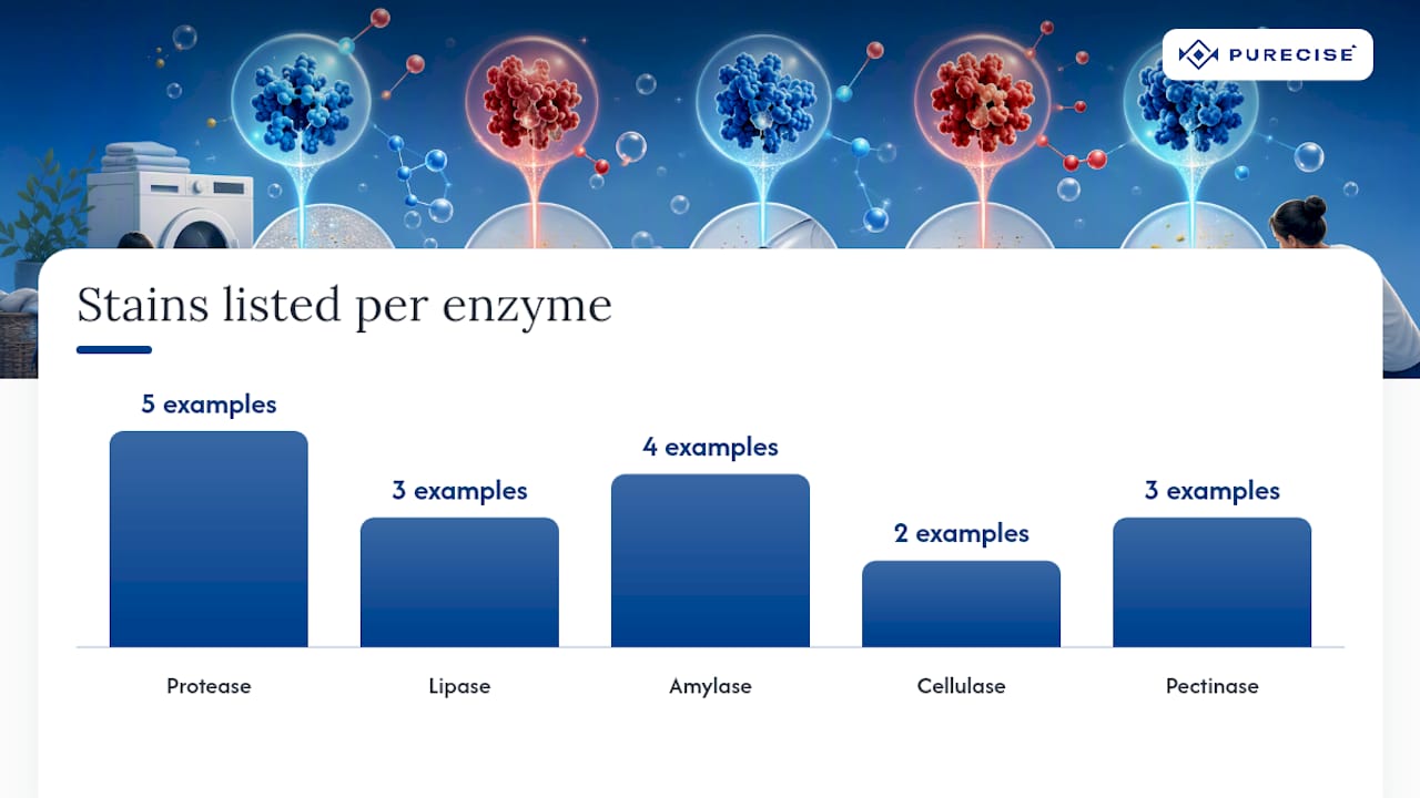 Diagram showing enzyme types and their stain targets