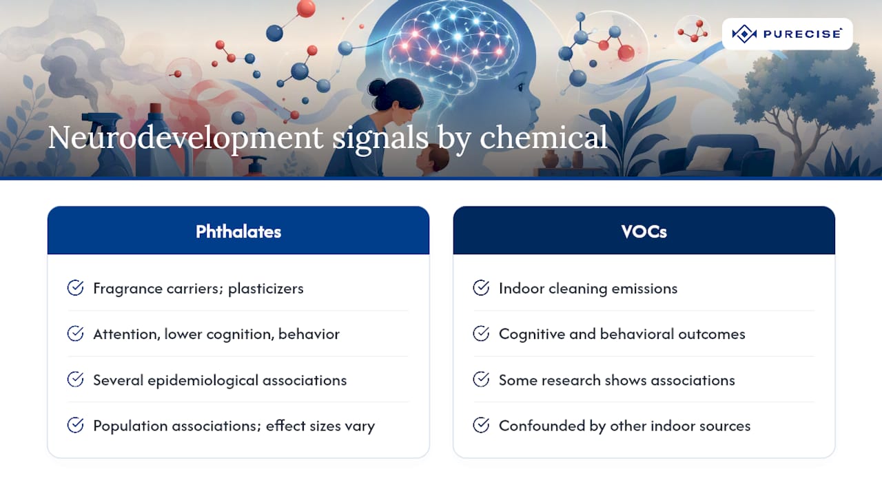 Long-term developmental and neurobehavioral effects linked to early chemical exposure — overview diagram