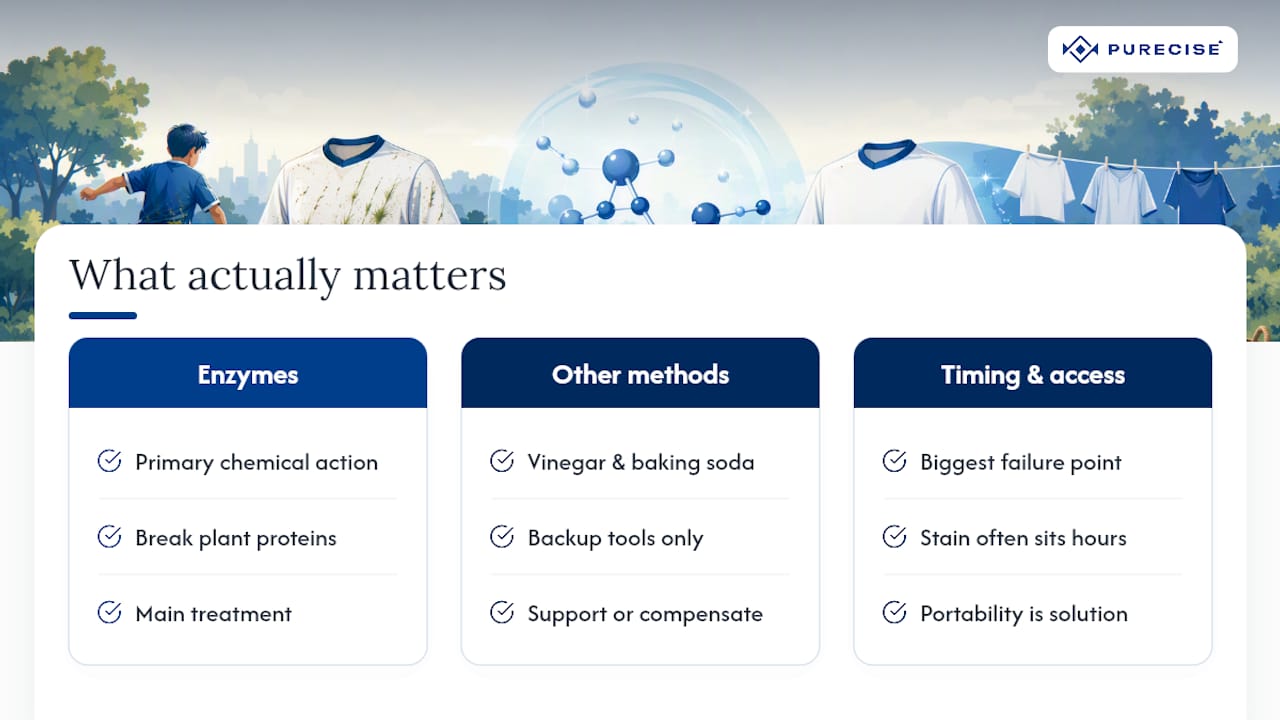 What we think actually matters in this process — overview diagram