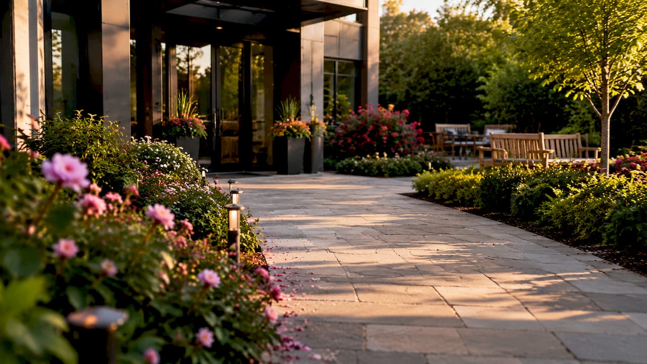 Commercial entrance with walkway, lighting, and plants