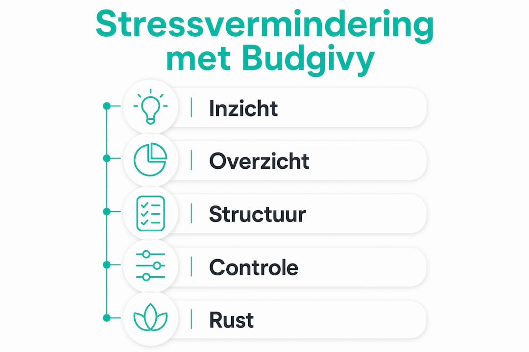 Overzichtelijke infographic: zo helpt een budgetapp je om grip te krijgen op je financiën en stress te verminderen