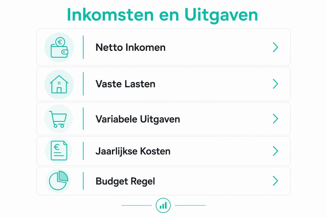 Overzichtelijke infographic: zo breng je je inkomsten en uitgaven in kaart