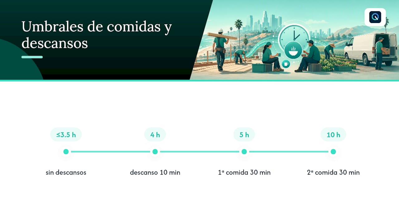 Tiempos y duración de las pausas para la comida