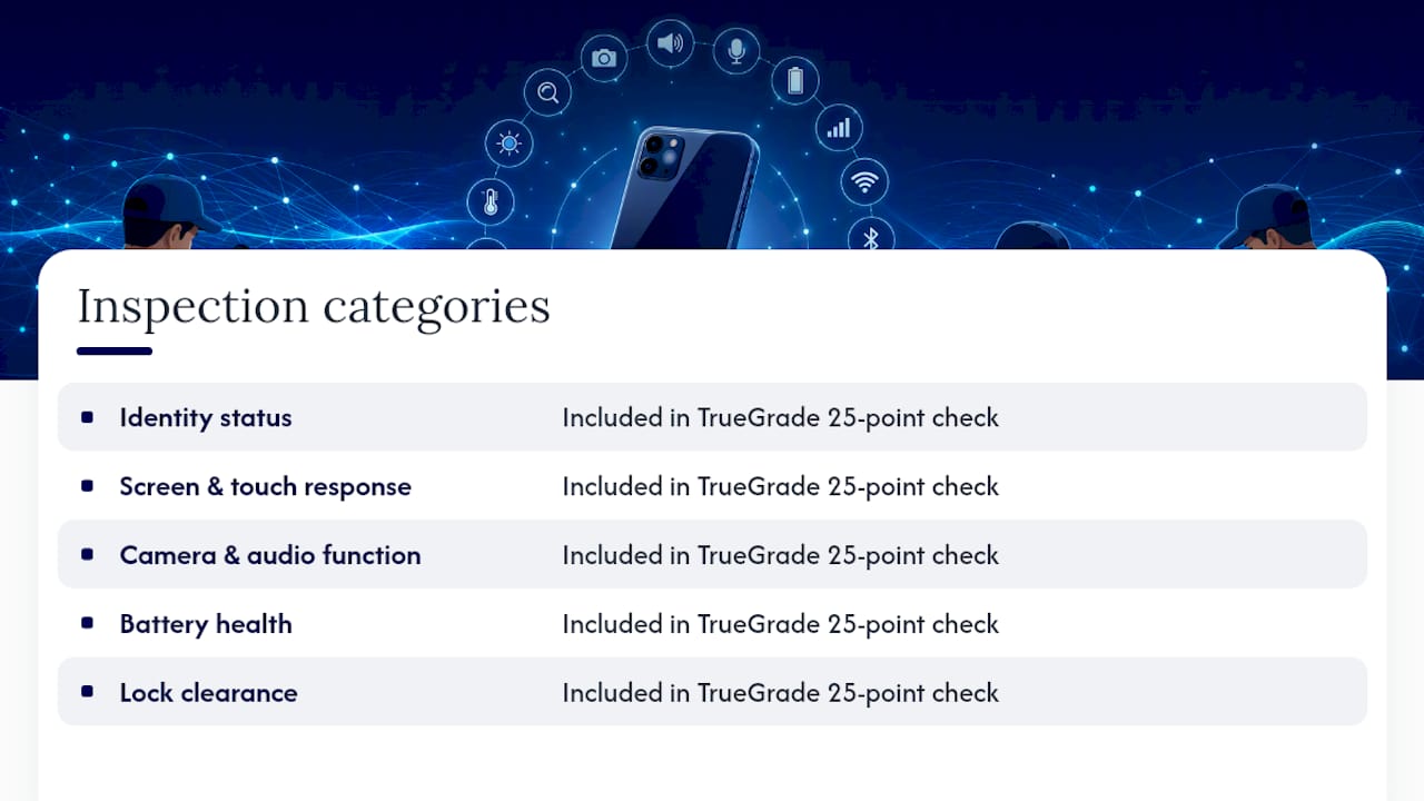How Device Giant Applies a 25-Point Inspection in Practice — overview diagram