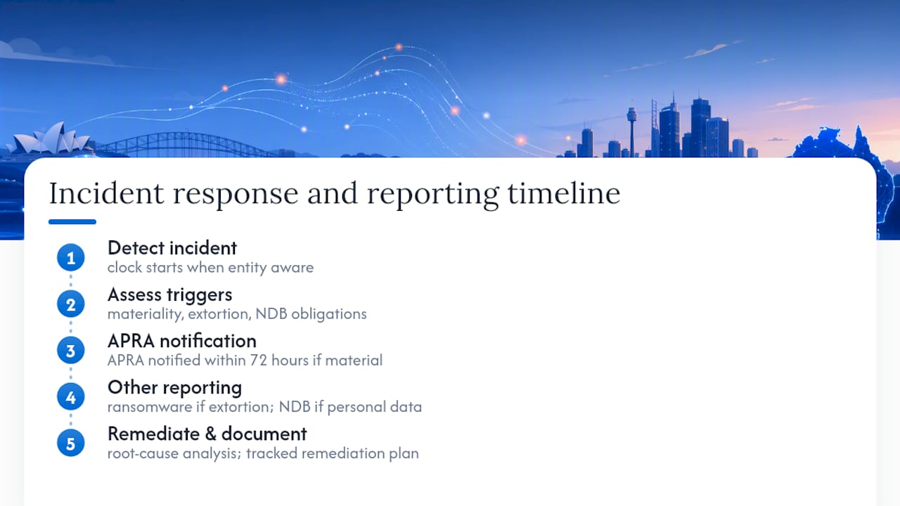 AI incident notification pathways and deadlines