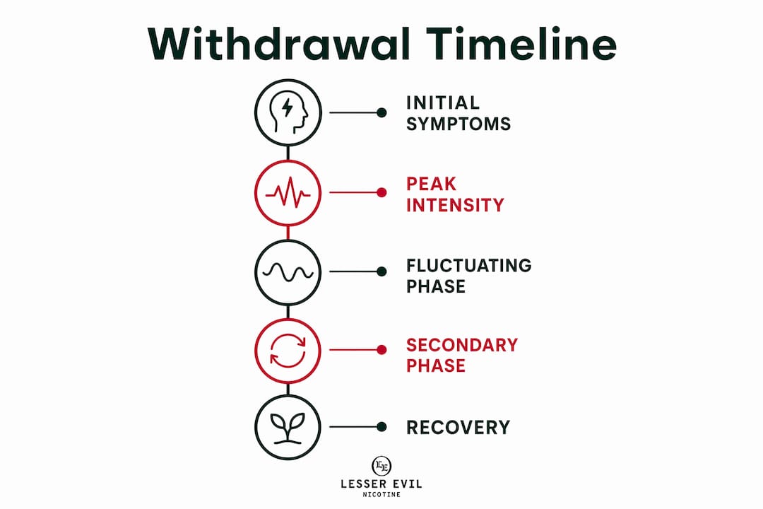 Infographic showing nicotine withdrawal timeline stages
