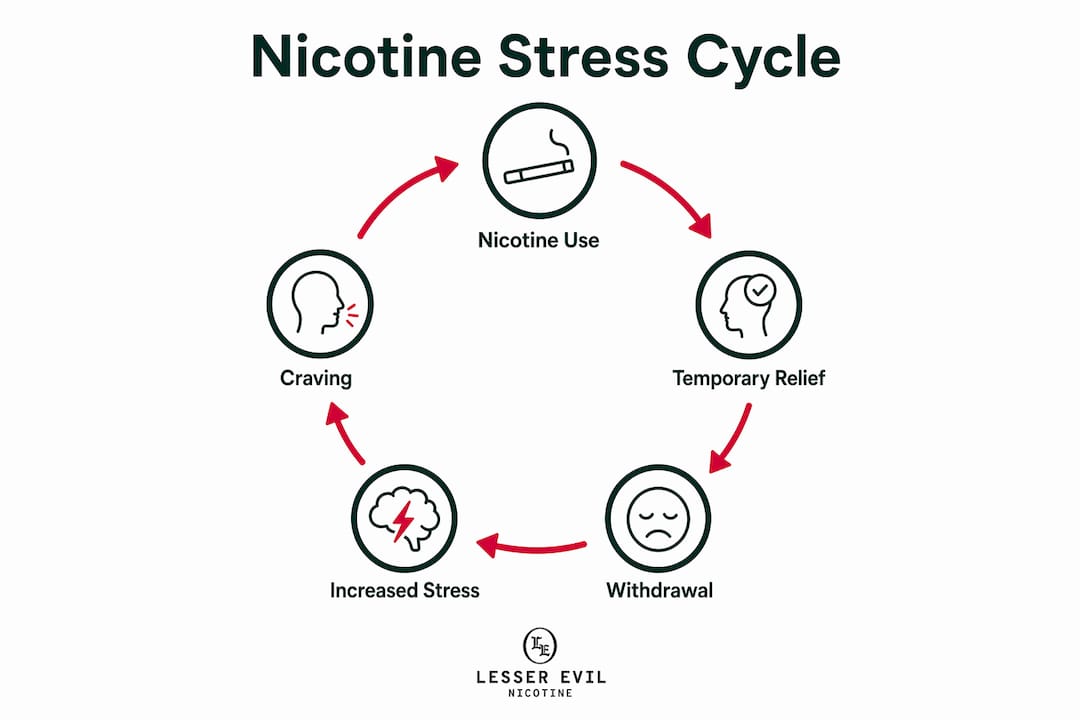 Infographic illustrating nicotine stress cycle steps