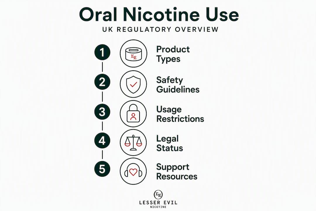 Infographic illustrating UK oral nicotine regulation steps