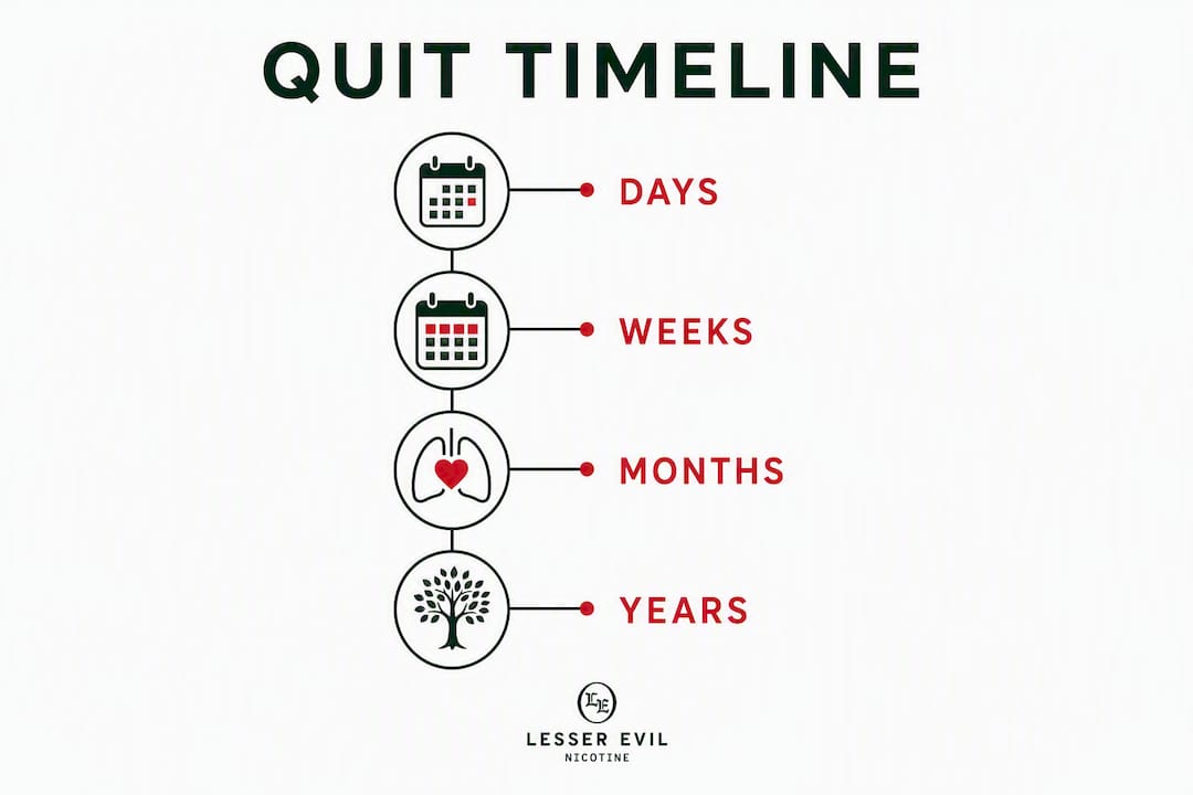 Infographic showing body changes timeline after quitting smoking