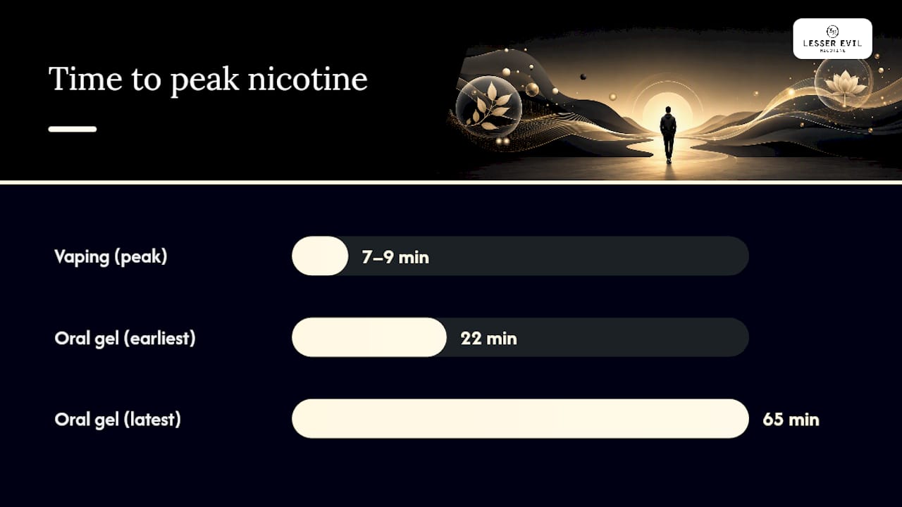 Diagram comparing vaping and oral gel nicotine absorption