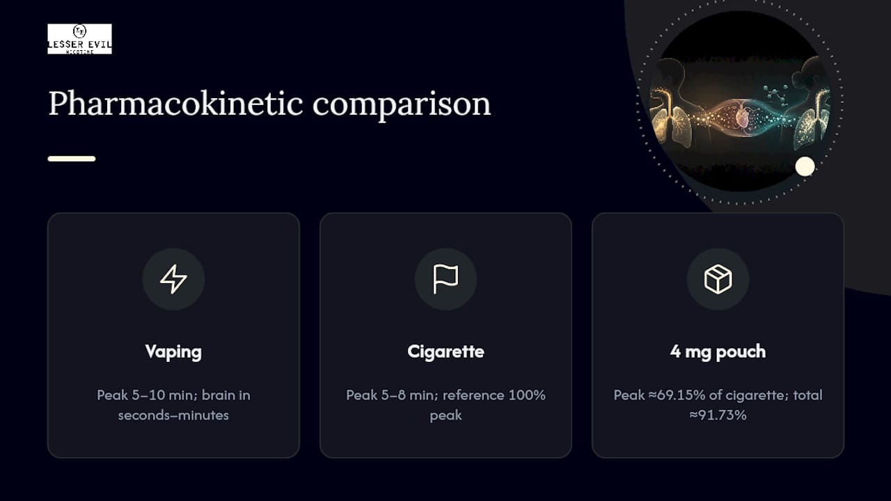 Comparison of nicotine timing and total exposure