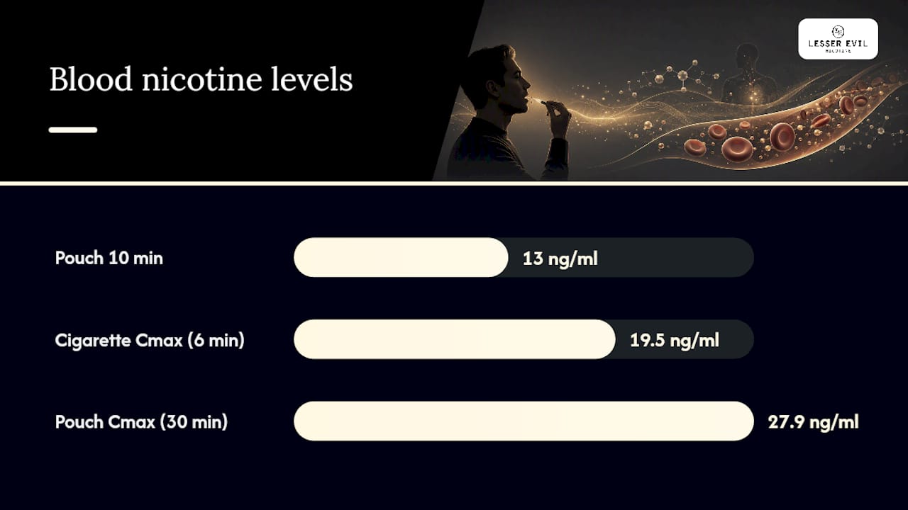 How fast does it hit, and what do the numbers actually mean? — overview diagram