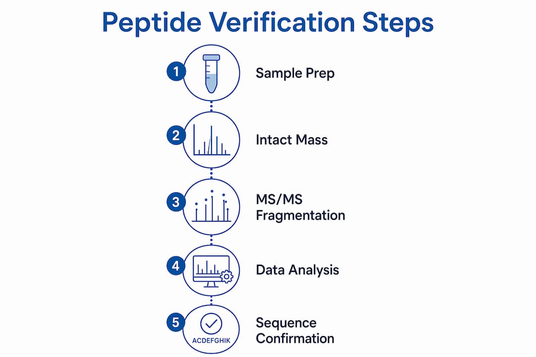 Infographic showing peptide sequencing verification process steps