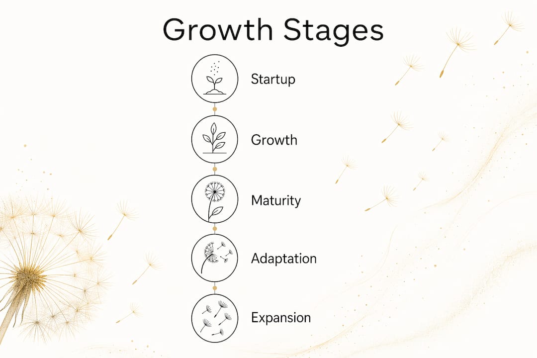 Infographic illustrating five stages of business growth