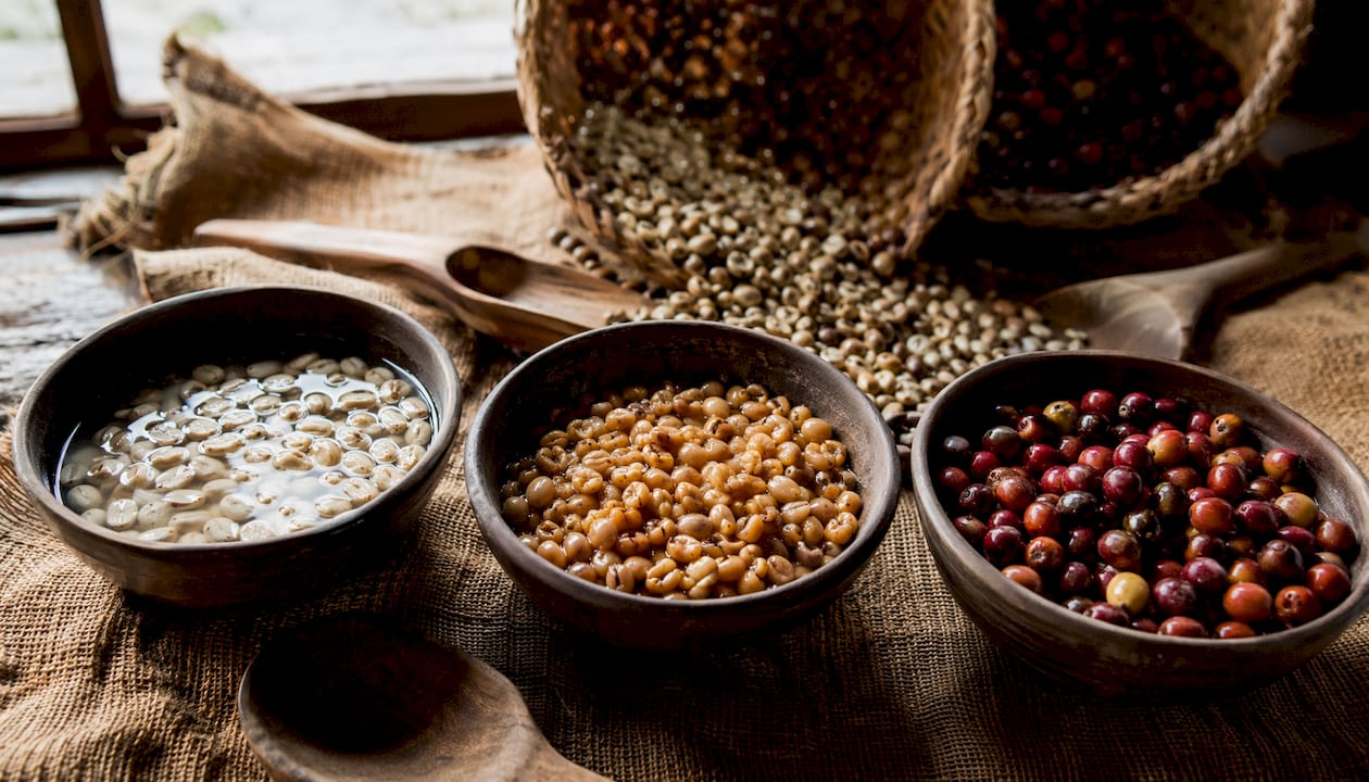Top-down view of coffee beans in various processing stages