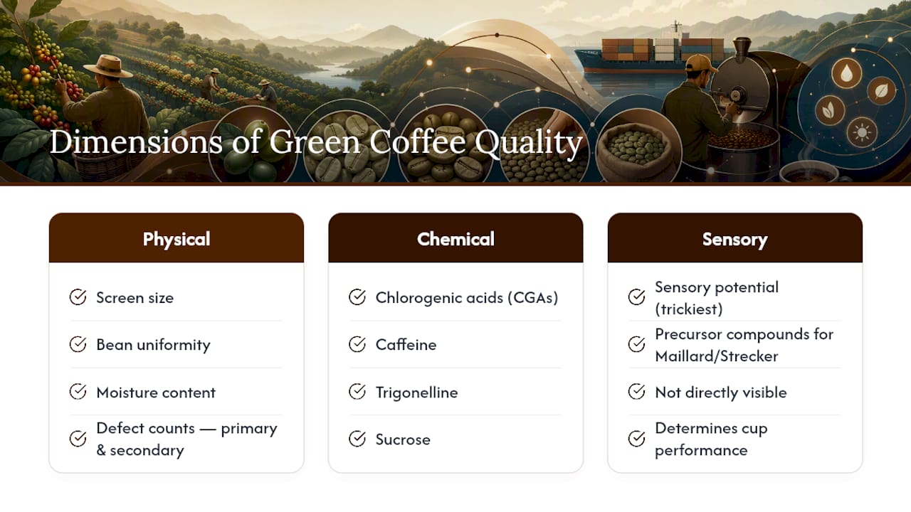Diagram of green coffee quality dimensions and components