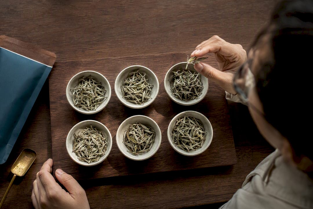 White tea leaves in sourcing sample bowls