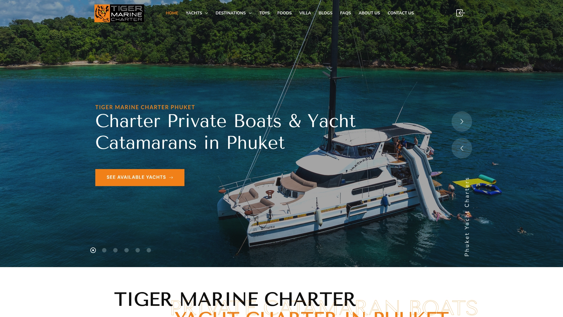 https://tigermarinecharter.com