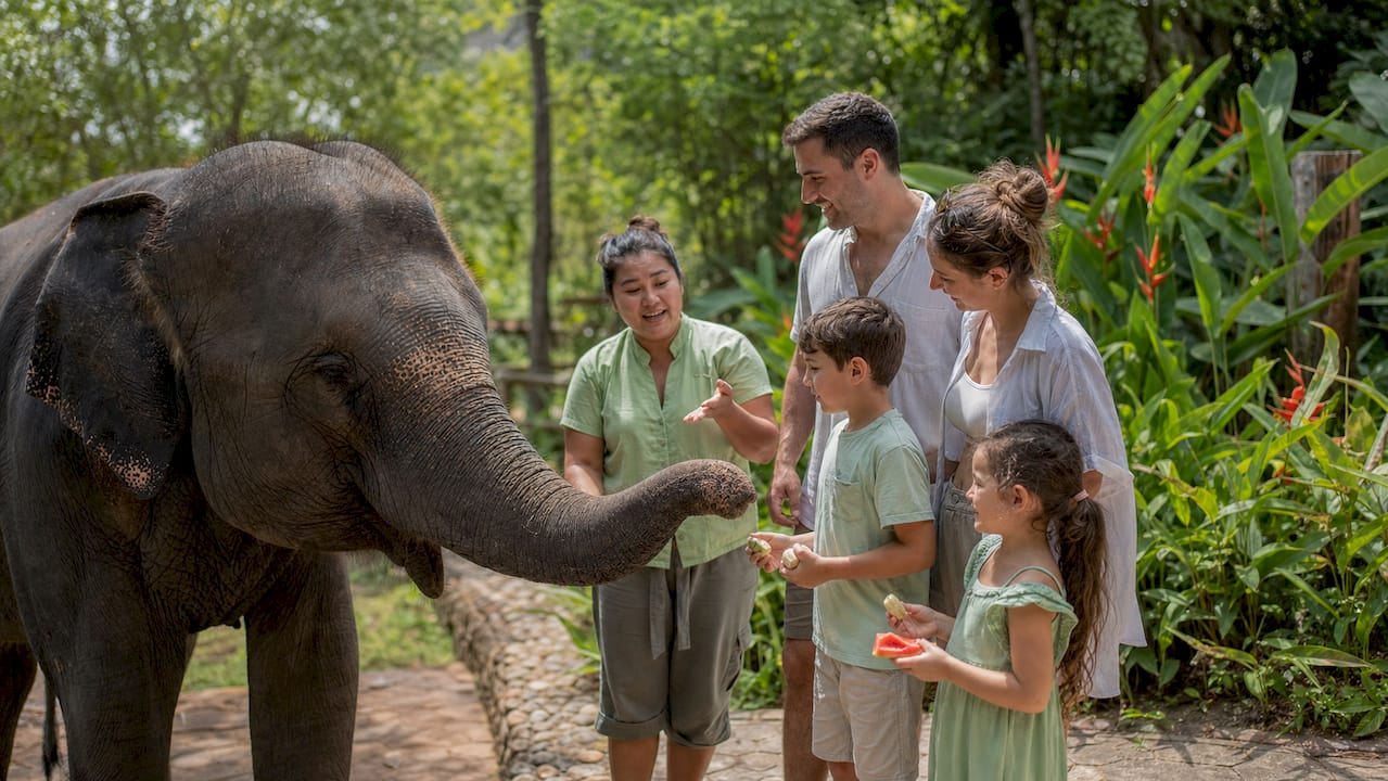 Family feeding elephant in Phuket excursion