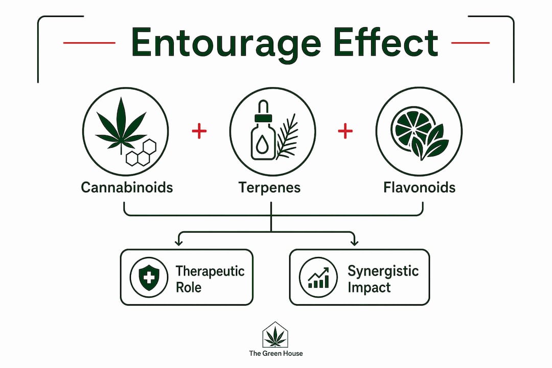 Infographic illustrating cannabis entourage effect components