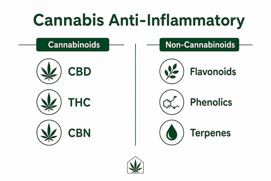 Infographic contrasting cannabinoids and non-cannabinoids