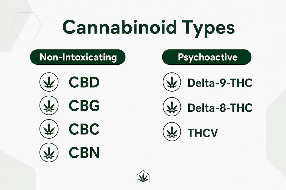 Infographic comparing cannabinoid types
