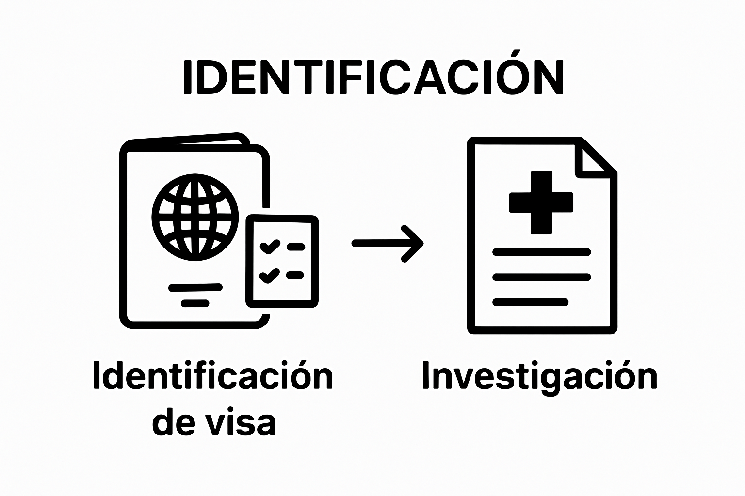 Visual steps of visa type identification and insurance research