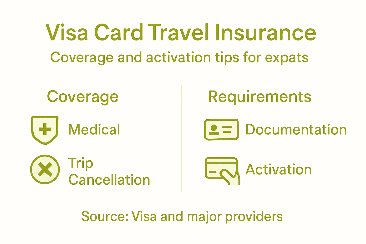 Infographic expat Visa travel insurance essentials