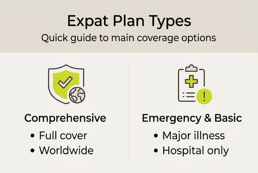 Infographic compares main expat insurance plans