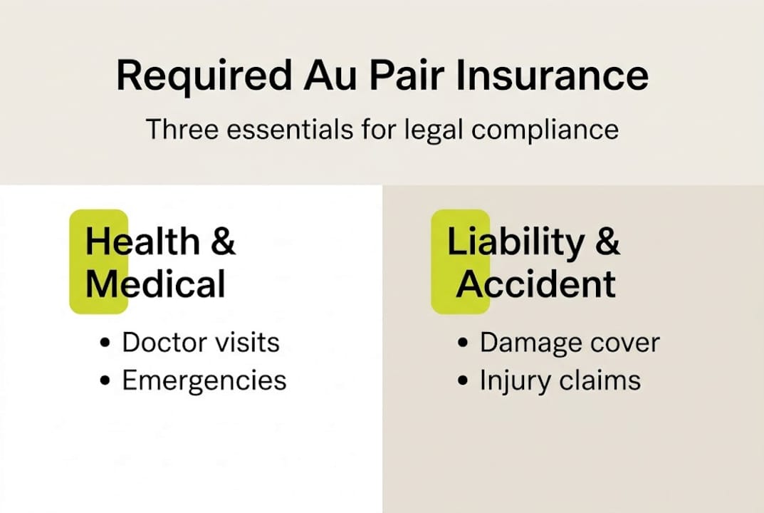 Infographic of key au pair insurance types
