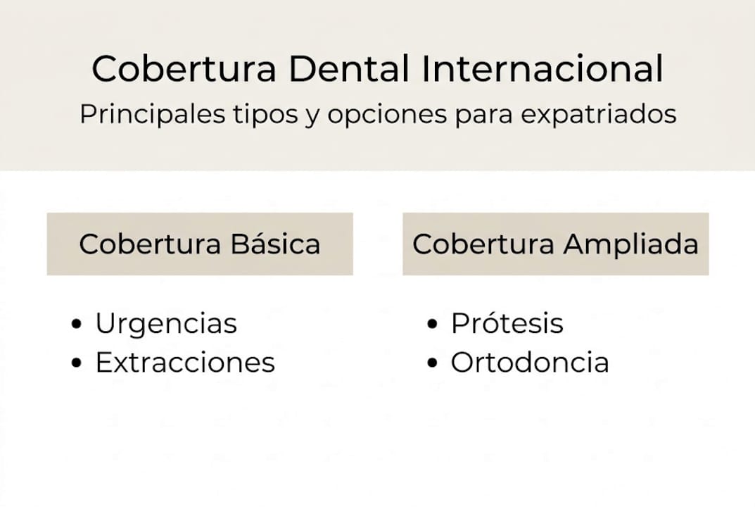 Infografía: principales modalidades de cobertura dental internacional