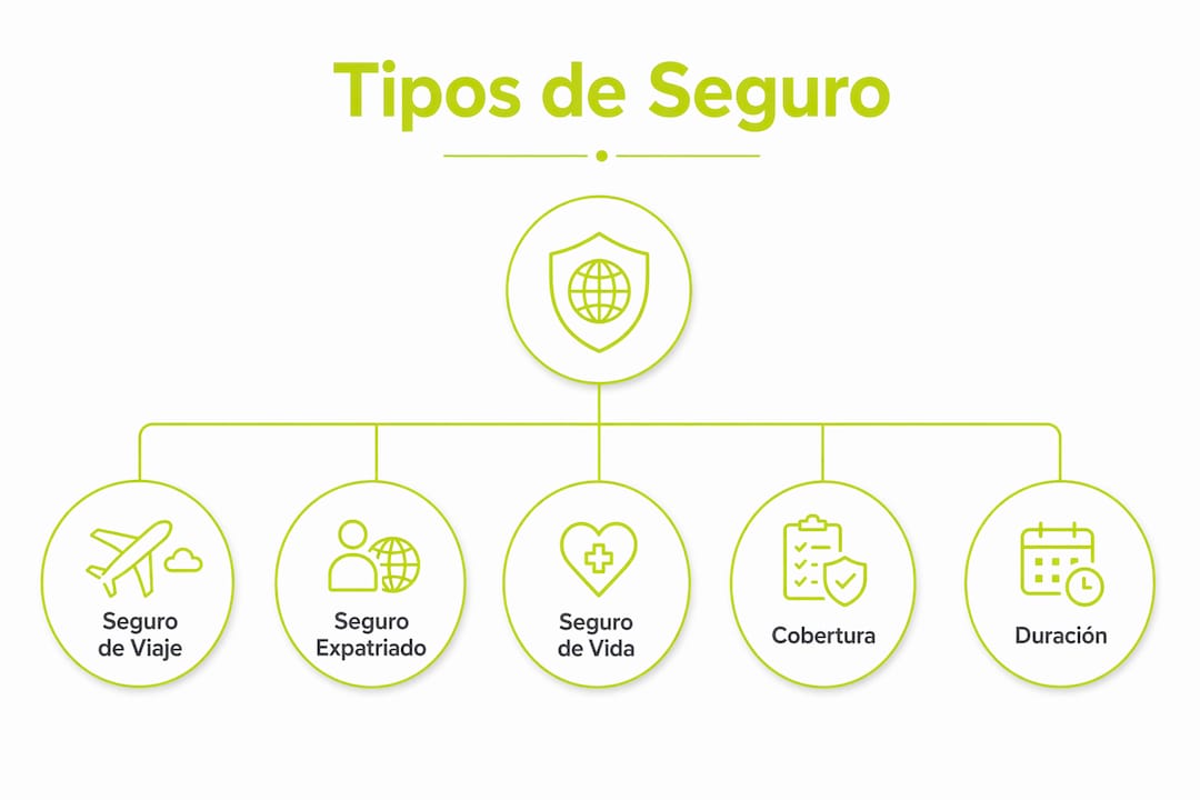 Infografía sobre la clasificación y niveles de los diferentes tipos de seguros internacionales