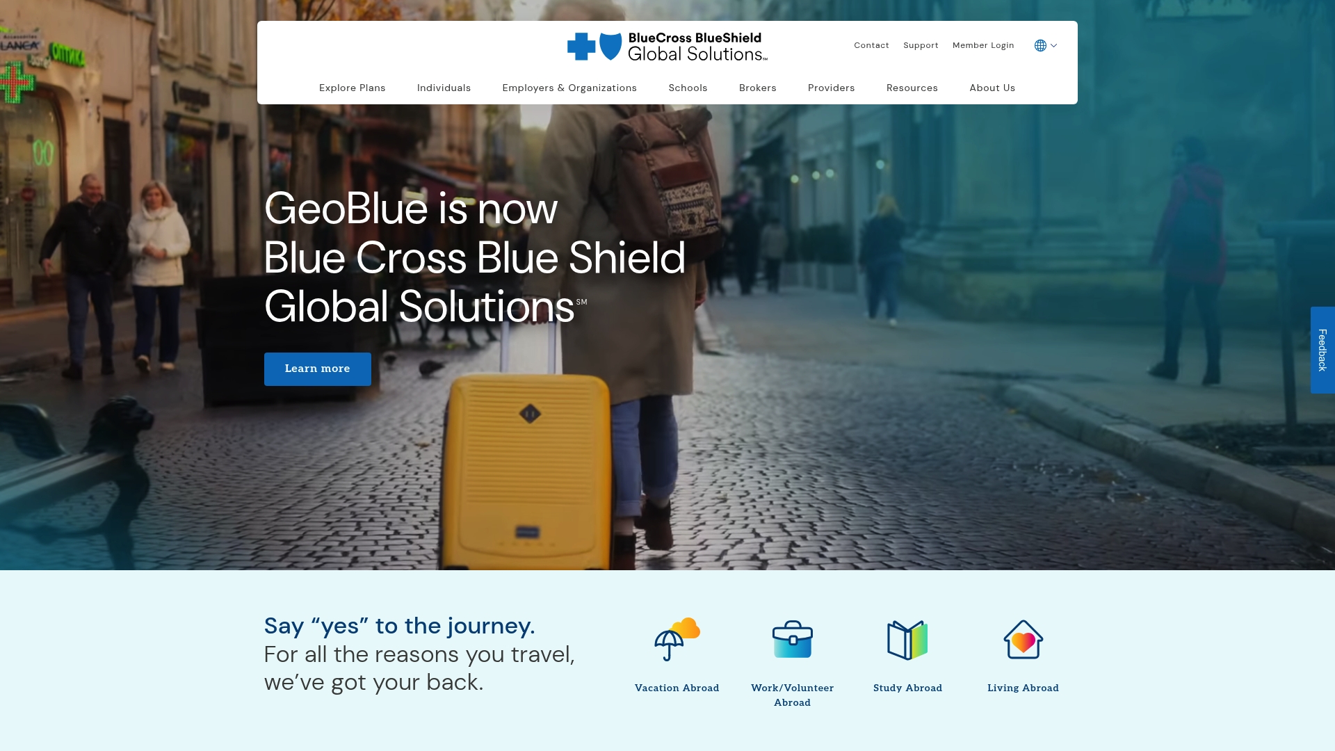 https://bcbsglobalsolutions.com