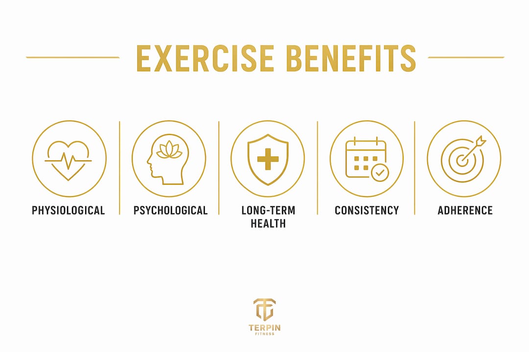 Infographic illustrating exercise benefits hierarchy