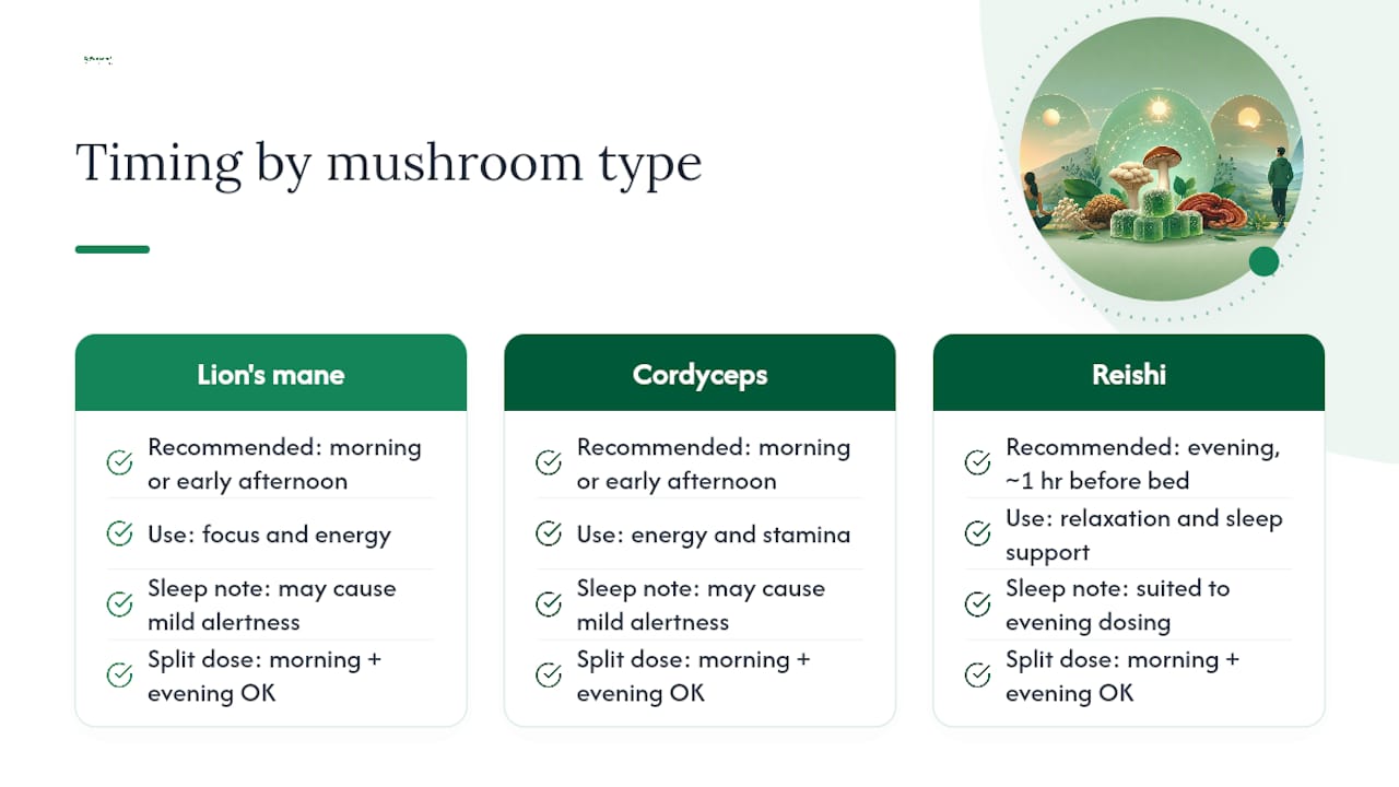 Mushroom gummy timing by type
