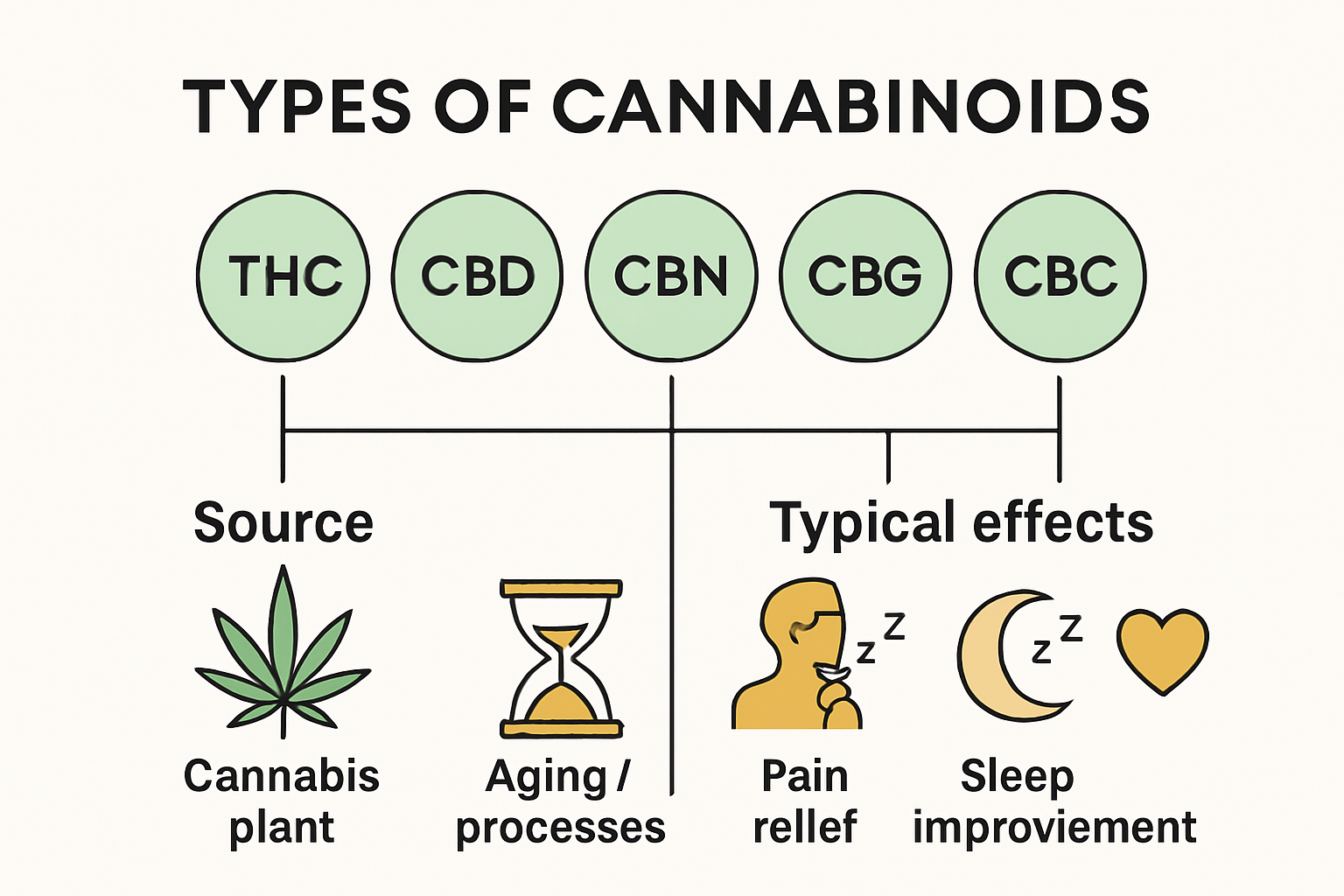 Infographie comparant les cannabinoïdes courants et leurs effets