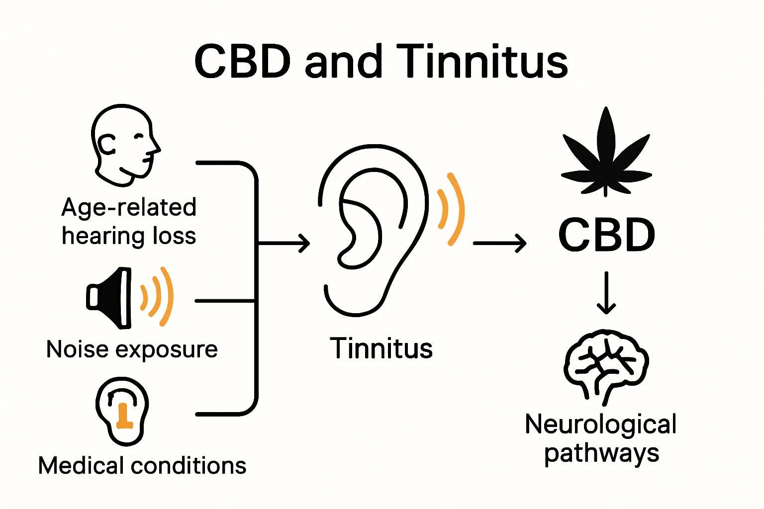 Infographie montrant les causes des acouphènes et les points d'impact de la CDB