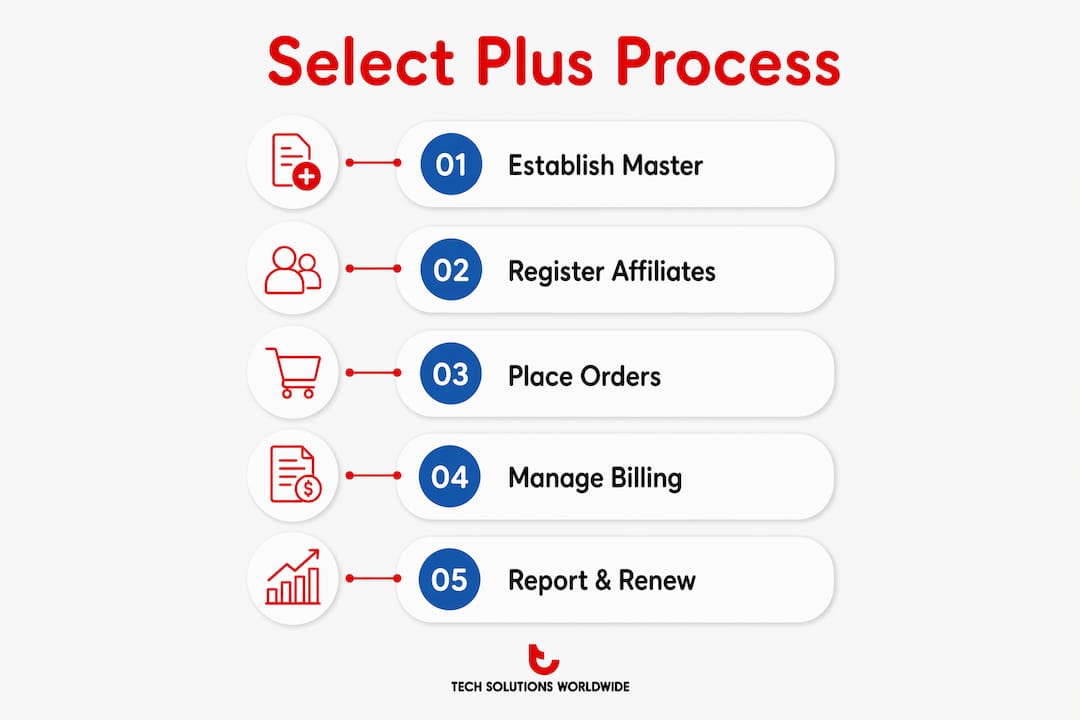 Infographic illustrating Select Plus billing and management steps