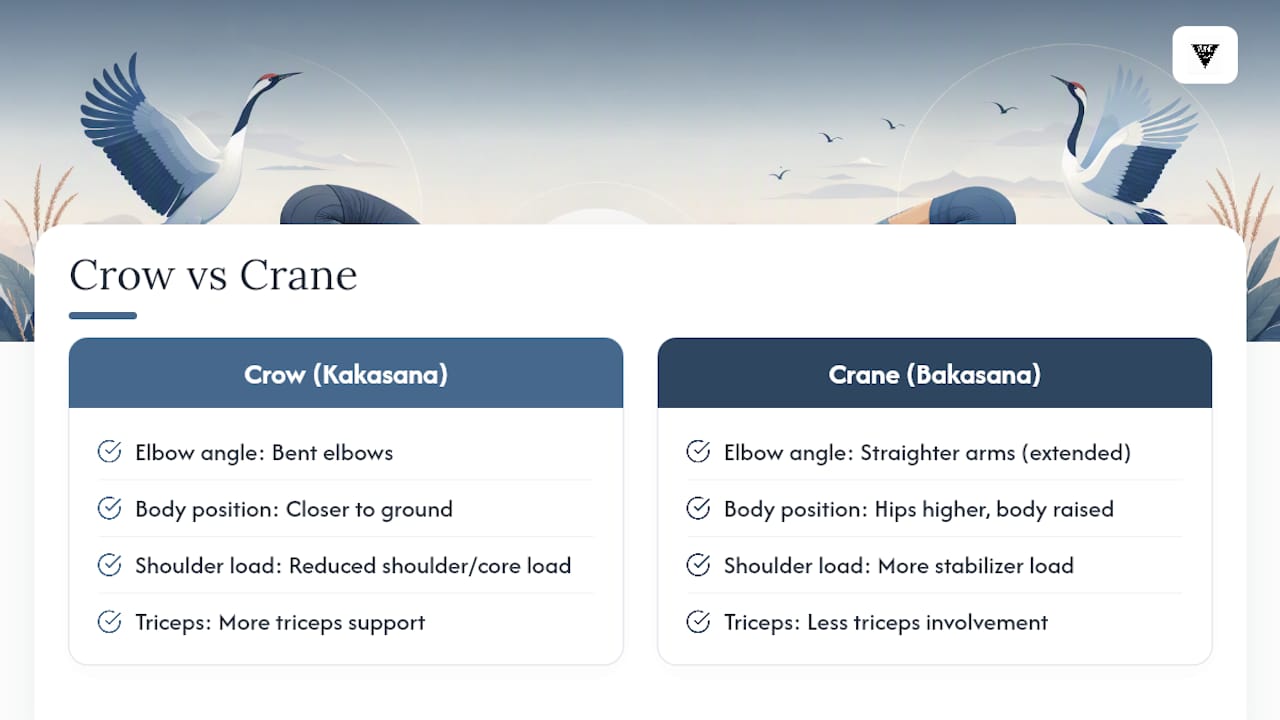 Diagram comparing Crow and Crane Pose biomechanics