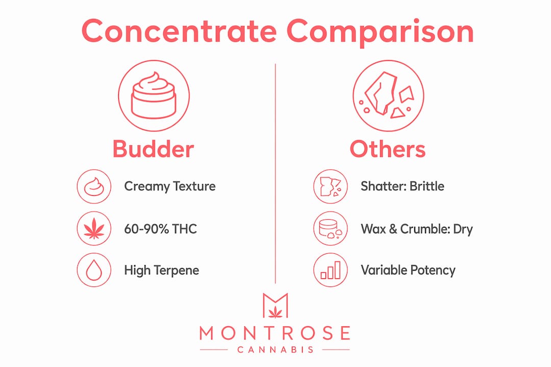 Infographic comparing cannabis budder with other concentrates
