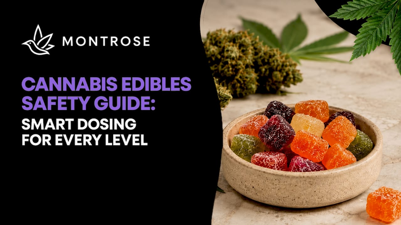 Cannabis Edibles Safety Guide: Smart Dosing for Every Level ...