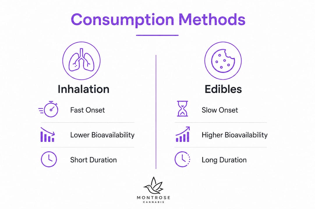 Infographic comparing inhalation and edible cannabis effects