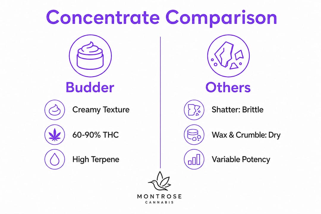 Medical Marijuana Dispensary Dictionary: Common Cannabis Terms ...