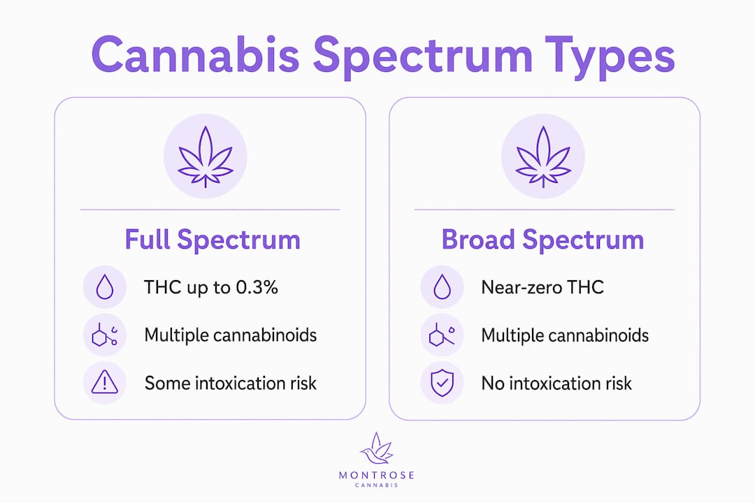 Infographic comparing full spectrum and broad spectrum cannabis