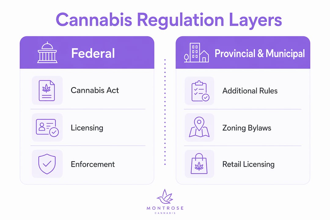 Infographic of federal versus provincial cannabis rules